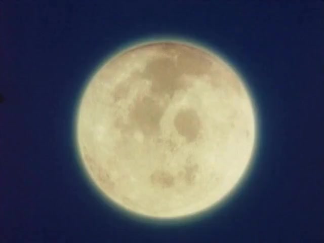[Tsukyio Editing Resources] Pre-comp 1 Comp 1.mp4 Comp 70-10x-RIFE-RIFE4.0-239.7602fps (tsukyioxyz).mp4